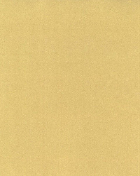 Hattan Palette | 31 Gold